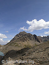 F005981: Grieshorn