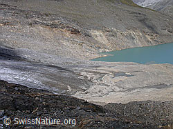 Foto: Gletscherzunge des Griesgletschers reicht nicht mehr bis in den See