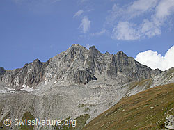 F006039: Pizzo Gallina