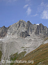 F006041: Pizzo Gallina