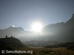 F006159: Sonnenaufgang auf dem Simplonpass