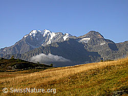 F006164: Simplon: Fletschhorn, Senggchuppa und Böshorn