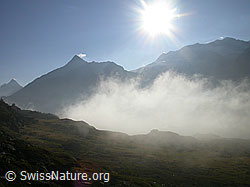 F006166: Gegenlicht und Morgennebel auf dem Simplonpass
