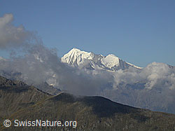 F006180: Weisshorn, Brunegghorn und Bishorn