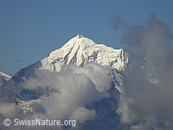 Foto: Spitzhorli: Weisshorn und Brunegghorn