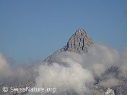 F006202: Bietschhorn mit Wolken