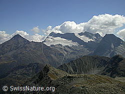 F006226: Spitzhorli: Wasenhorn, Monte Leone, Breithorn, Hübschhorn