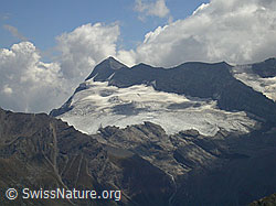 Foto: Spitzhorli: Monte Leone und Chaltwassergletscher