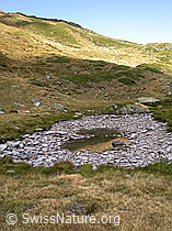 F006263: Simplonpass: Fast ausgetrockneter Bergsee