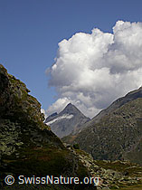 F006264: Simplonpass: Bortelhorn mit Kumulus