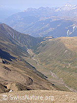 F006320: Holzjihorn: Rappetal, Wallis