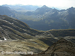 F006331: Holzjihorn: Fäldbachtal, Furggulti, Albrunpass