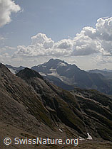 F006337: Holzjihorn: Ofenhorn