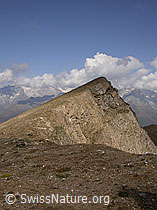 F006338: Gipfel des Holzjihorn