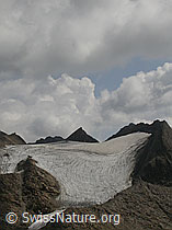 Foto: Fäldbachgletscher und Turbechepf