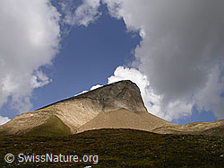 F006356: Holzjihorn mit interessanter Beleuchtung