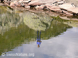 F006400: Spiegelung der Frau auf dem Stein