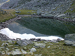 F006423: Stimmung am Schaplersee