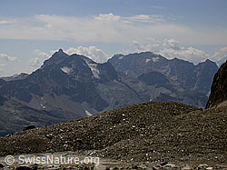 F006477: Scherbadung und Helsenhorn
