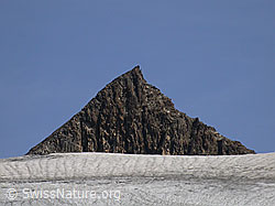 Foto: 5. Turbechepf und Fäldbachgletscher