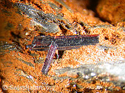 F006593: Rutilnadeln