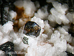 F006599: Anatas. Kantenlänge: 2.5mm