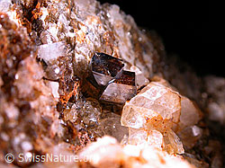 F006603: Doppelter Anatas