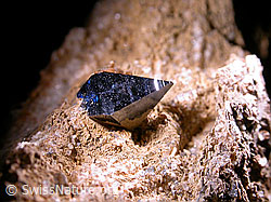 F006606: Anatas. Länge: 7mm