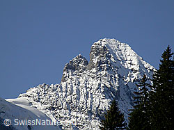 F006624: Roti Zend, Gspaltenhorngipfel mit Neuschnee
