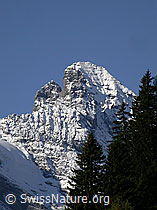 F006626: Überzuckerter Gipfel des Gspaltenhorn