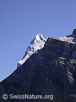 F006667: Gipfel des Eiger und Ausläufer des Schwarzmönch