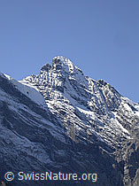 F006670: Mürren: Gspaltenhorn (Nordwand)
