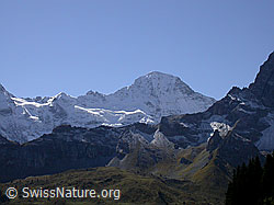F006677: Schmadrijoch und Lauterbrunnen Breithorn