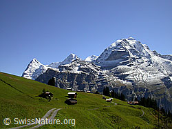 F006679: Mürren: Eiger, Mönch und Jungfrau