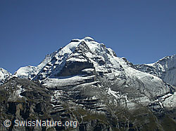 F006695: Schwarzmönch, Silberhorn, Jungfrau, Rotbrätt, Rottal