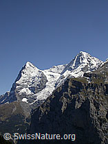 F006702: Mürren: Eiger und Mönch