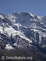 F006708: Mittaghorn, Berner Oberland