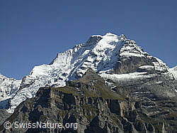 F006719: Schneehorn, Silberhorn, Jungfrau, Rotbrätt, Rottal