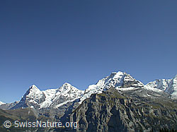 F006725: Eiger, Mönch, Jungfrau, Schwarzmönch
