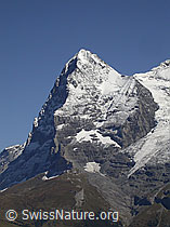 Photo: Eiger, Berner Oberland