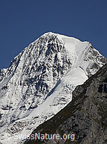 F006753: Nordwand und Nollen des Mönch
