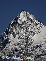 F006755: Mürren: Gipfel und Westflanke des Eiger