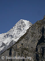F006768: Mürren: Mönch