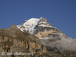 F006779: Schwarzmönch, Silberhorn und Rotbrätt im Abendlicht