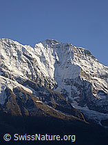 F006783: Mürren: Grosshorn im Abendlicht