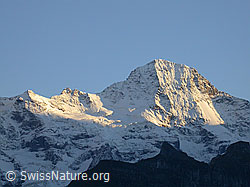 Photo: Mürren: Lauterbrunnen Breithorn im Abendlicht