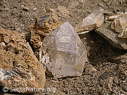 F006894: Bergkristall, frisch aus Kluft