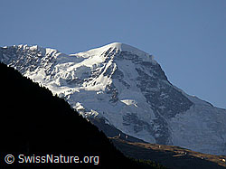 Foto: Breithorngletscher, Breithorn und Triftjigletscher