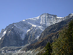 F007111: Grand Cornier, Zinal