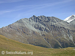 F007112: Les Diablons